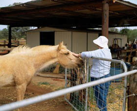 Accommodation Gold Coast