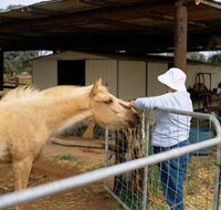 Nallan Station - Accommodation Gold Coast