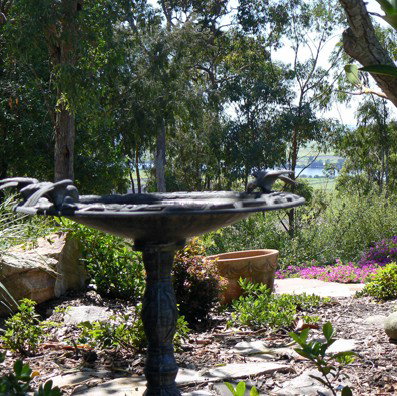 Ashby Cottage - Accommodation Gold Coast 2