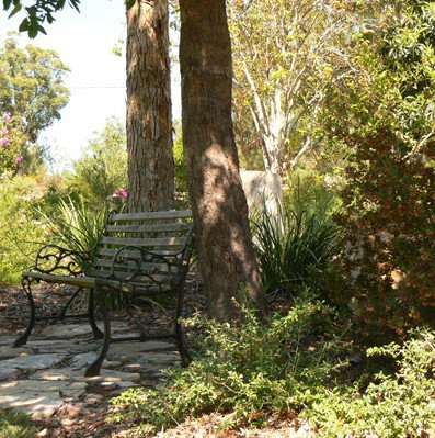 Ashby Cottage - Accommodation Gold Coast 3