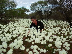 Wandina Station Stay - Accommodation Gold Coast 1