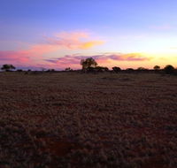 Wogarno Homestead - Accommodation Gold Coast