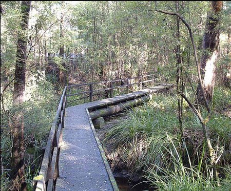 Misty Valley Country Cottages - Accommodation Gold Coast 3