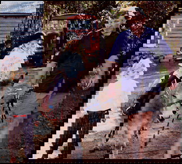 Misty Valley Country Cottages - Accommodation Gold Coast 4