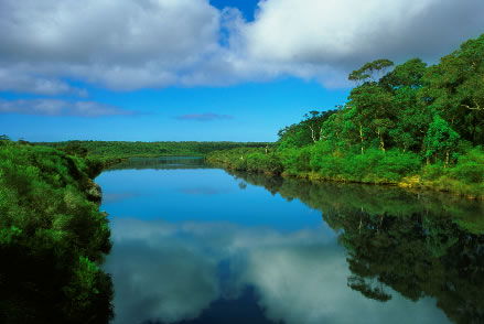 Nutkin Lodge - Accommodation Gold Coast 3