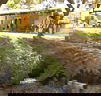 Peppermint House on 79 Tunbridge Street - Accommodation Gold Coast