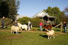 Sunnyhurst Chalets - Accommodation Gold Coast 0
