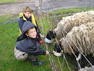Meerup Springs Farmstay - Accommodation Gold Coast 3