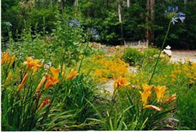 Warren River Cottages - Accommodation Gold Coast 1