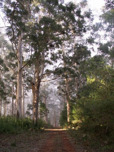 Warren River Cottages - Accommodation Gold Coast 2
