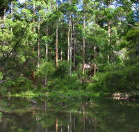 Peppermint Grove Retreat - Accommodation Gold Coast