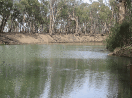 Balranald Club Motel - Accommodation Gold Coast 1