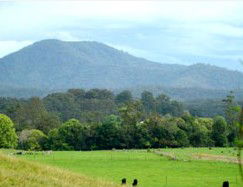 Bellingen Farmstay - Accommodation Gold Coast 4