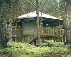 Possums Hideaway - Accommodation Gold Coast 0