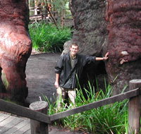 Walpole Lodge - Accommodation Gold Coast