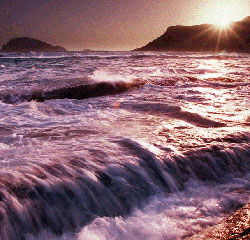 Walpole Lodge - Accommodation Gold Coast 1