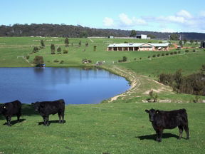 Stargazers - Accommodation Gold Coast 2