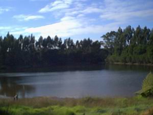 Jenny's Lake Farm B&B - Accommodation Gold Coast 5