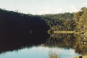 Rest Point Holiday Village - Accommodation Gold Coast 1