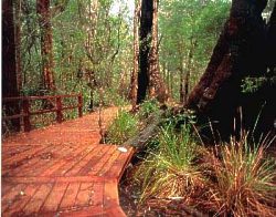 Coalmine Beach Holiday Park - Accommodation Gold Coast 3