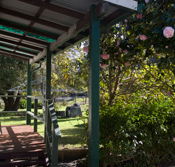 Bow River Cottage - Accommodation Gold Coast