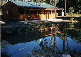 Bush Haven - Accommodation Gold Coast 2