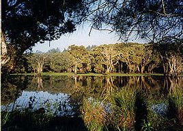 Bush Haven - Accommodation Gold Coast 3