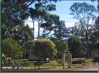 Kalgan River Chalets And Caravan Park - Accommodation Gold Coast 0