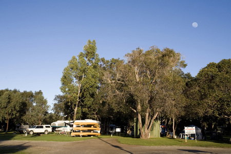 Molloy Caravan Park - Accommodation Gold Coast 1