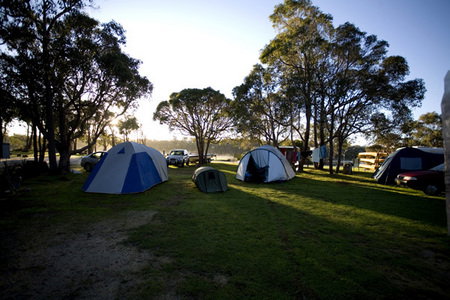 Molloy Caravan Park - Accommodation Gold Coast 2