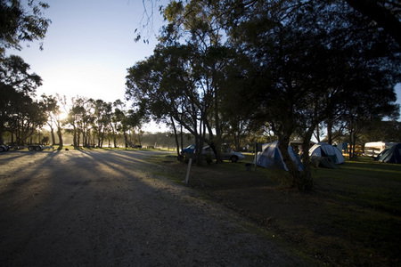 Molloy Caravan Park - Accommodation Gold Coast 3