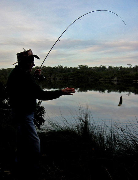 Molloy Caravan Park - Accommodation Gold Coast 5