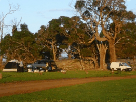 Ayr Sailean - Accommodation Gold Coast 5