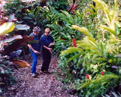 Milkwood Lodge - Accommodation Gold Coast 1