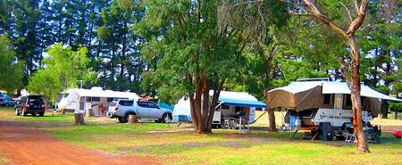 Fontys Pool Caravan Park - Accommodation Gold Coast 1