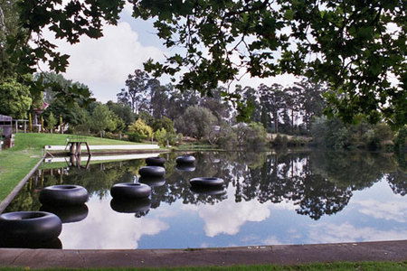 Fontys Pool Caravan Park - Accommodation Gold Coast 5