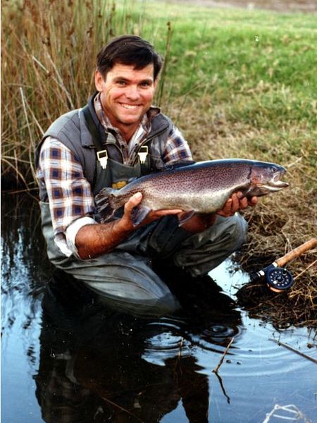 Clover Cottage Country Retreat - Accommodation Gold Coast 0