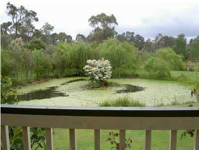 Moss Brook Bed And Breakfast - Accommodation Gold Coast 1