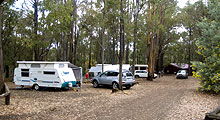 Lake Navarino Holiday Park - Accommodation Gold Coast 3