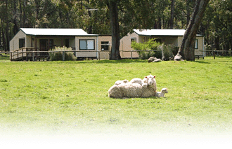 Cambray Cottages - Accommodation Gold Coast 1