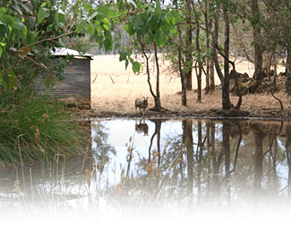 Cambray Cottages - Accommodation Gold Coast 3