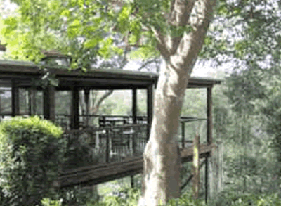 Watagan Lodge - Accommodation Gold Coast 5