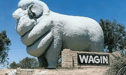 Wagin Motel - Accommodation Gold Coast