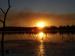 Town Caravan Park - Accommodation Gold Coast 2