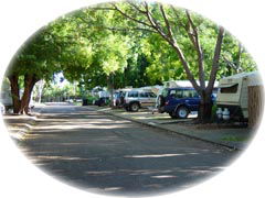 Town Caravan Park - Accommodation Gold Coast 5