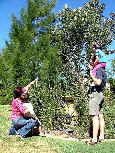 The Pavilion Bed And Breakfast - Accommodation Gold Coast 3