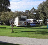 Pinjarra Caravan Park - Accommodation Gold Coast