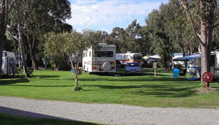 Pinjarra Caravan Park - Accommodation Gold Coast 0