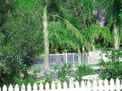 Pinjarra Caravan Park - Accommodation Gold Coast 3