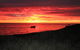 Pelicans Landing - thumb 4